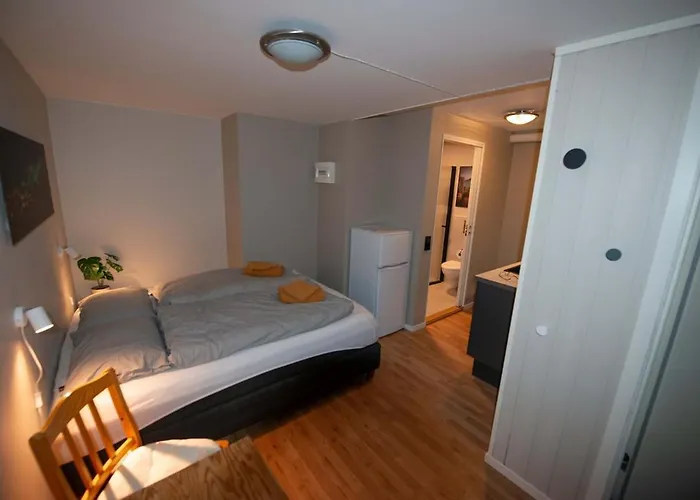 Studio Newly Renovated With Separate Entrance